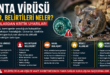 Hanta virüsü, genellikle fare türü kemirgenlerin taşıdığı ve insanlara bulaşabilen bir virüs grubudur.Hanta virüsü, genellikle fare türü kemirgenlerin taşıdığı ve insanlara bulaşabilen bir virüs grubudur.