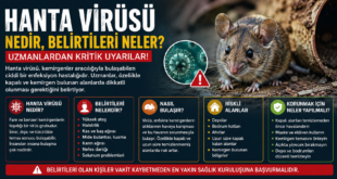 Hanta virüsü, genellikle fare türü kemirgenlerin taşıdığı ve insanlara bulaşabilen bir virüs grubudur.Hanta virüsü, genellikle fare türü kemirgenlerin taşıdığı ve insanlara bulaşabilen bir virüs grubudur.